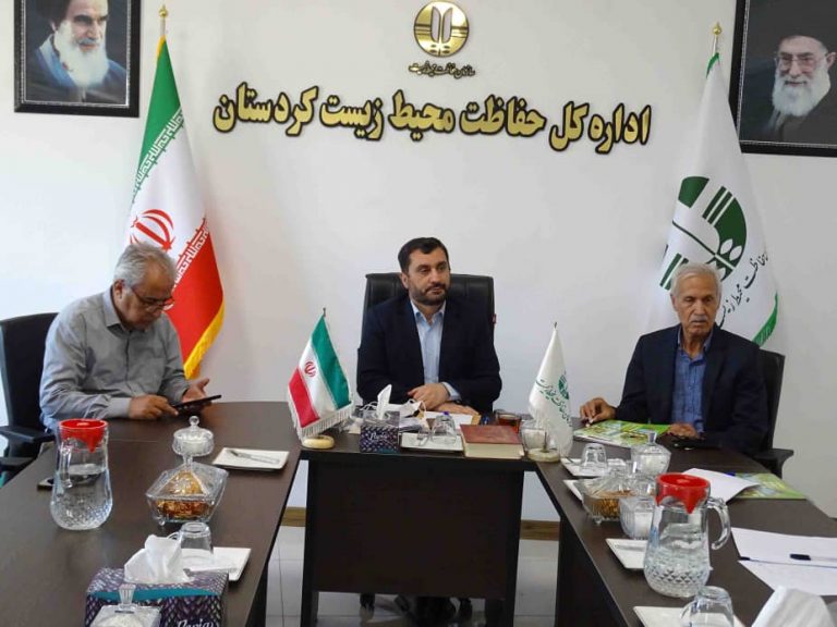 بیژن ذوالفقارنسب
