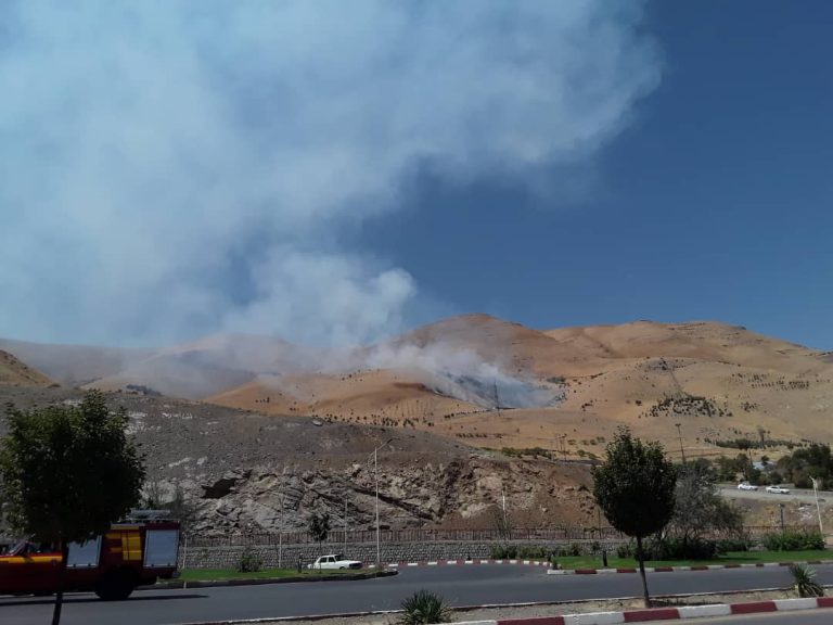 IMG-20220819-WA0017