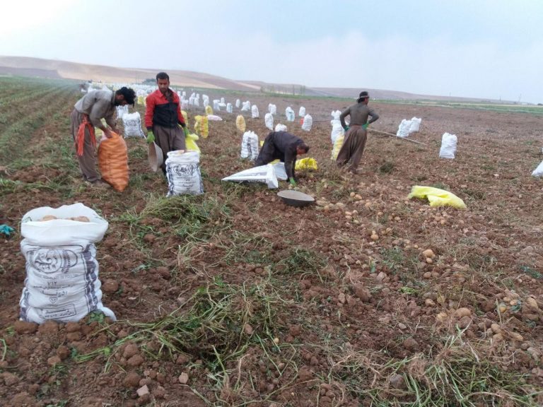 1541054534-112kurdtoday