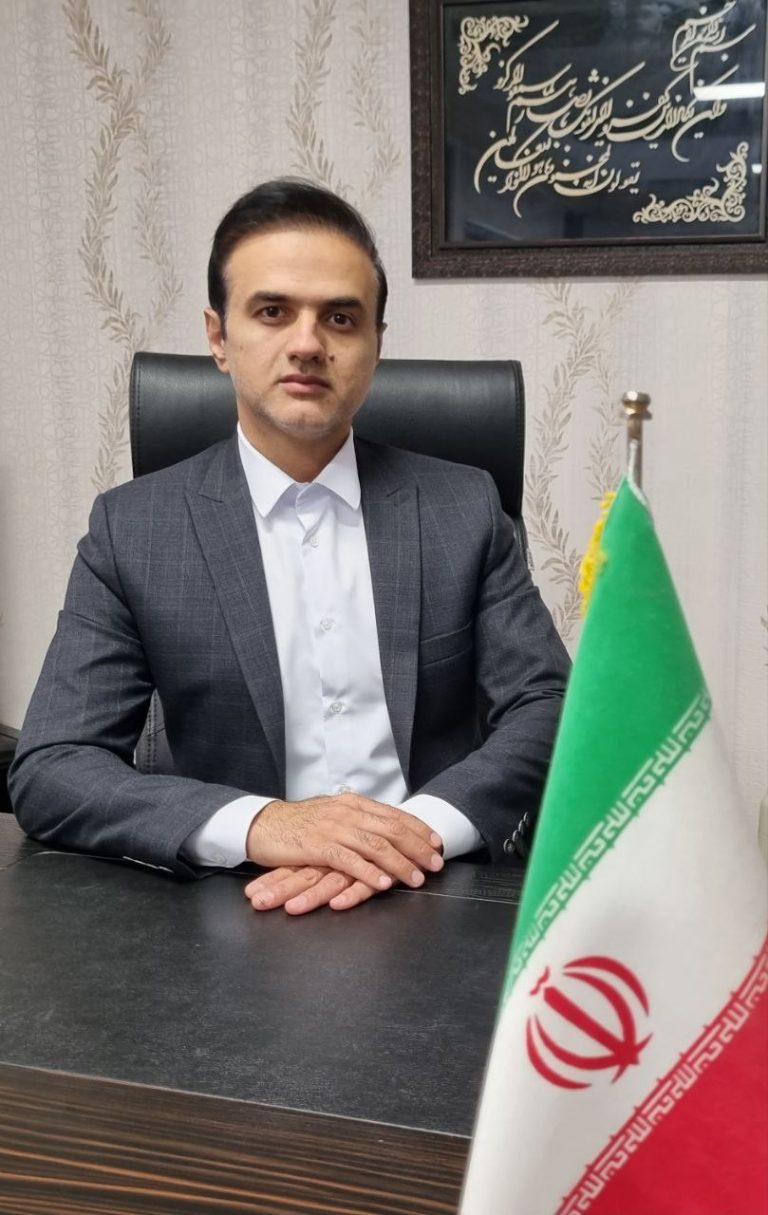 سید هادی روشن