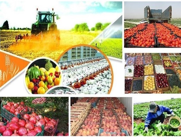 صادرات محصولات کشاورزی کردستان
