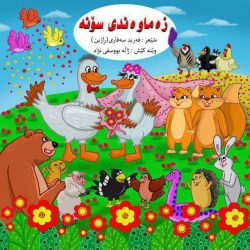 IMG_20241125_202628_647