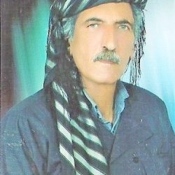 ناصر خان حیدری کانی سانانی