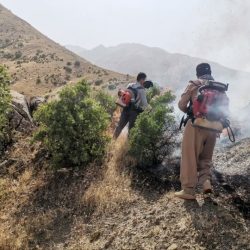 آتش سوزی مراتع کردستان