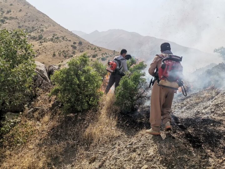 آتش سوزی مراتع کردستان